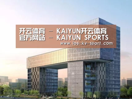 案例展示四